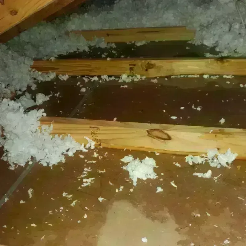 Attic Water Damage in Pecan Acres, TX